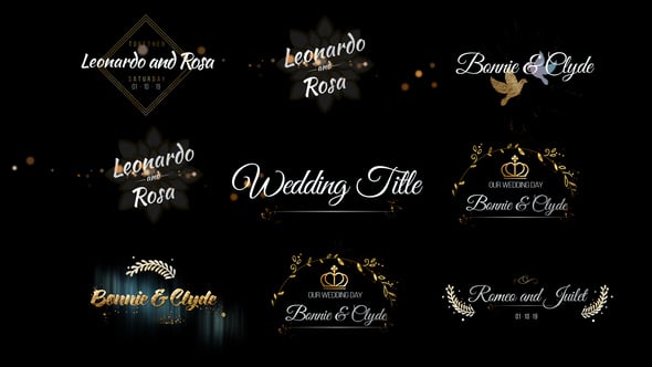 Six Beautiful Wedding Title 24464075 Videohive