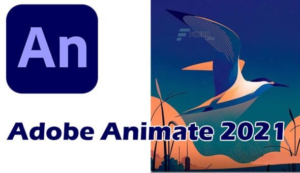 adobe animate projects free download