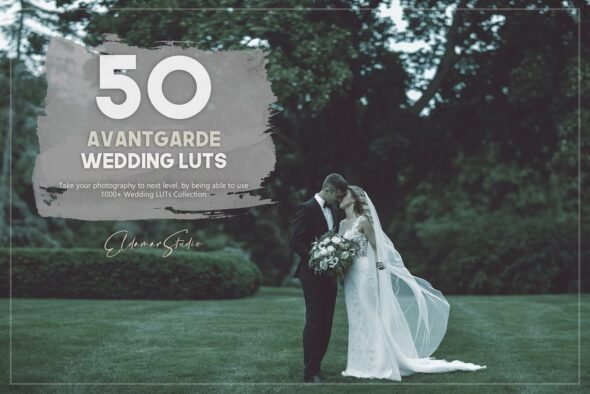 Download 50 Avantgarde Wedding LUTs Pack By Eldamar Studio - Adobe After Effects