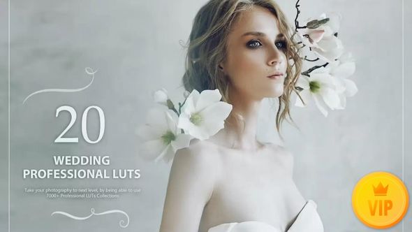 20 Wedding LUTs Pack