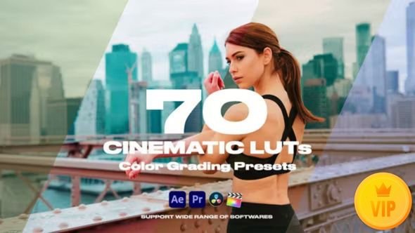 Cinematic LUTs Vol.1 For Premiere Pro 35150050