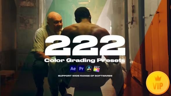 Colorify 222 LUTs For Premiere Pro 32902046 Videohive