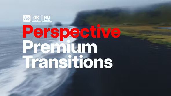 Premium Transitions Perspective 49970601 Videohive