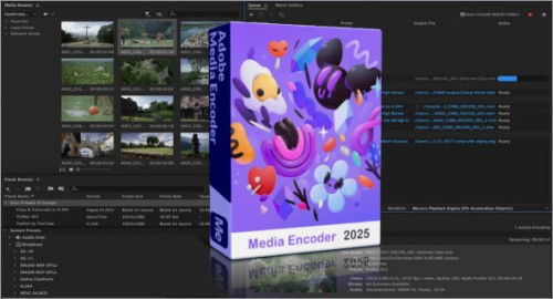 adobe media encoder download free 2025